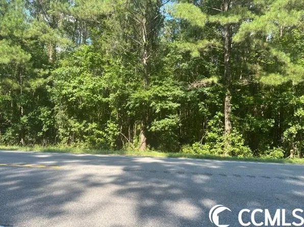 TBD Highway 701 South, Conway, SC 29527