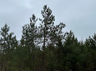 On Swamp Lake Rd #4069-12, Denton, NC 27239