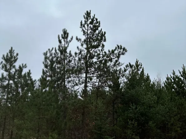On Swamp Lake Rd #4069-12, Denton, NC 27239
