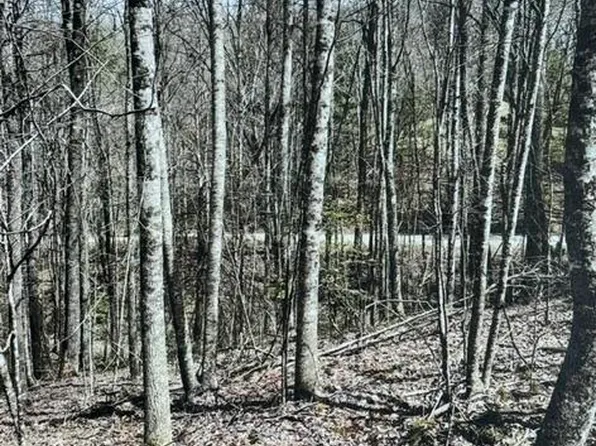 11a 11b Hidden Lakes Road LOT 11A 11B, Topton, NC 28781