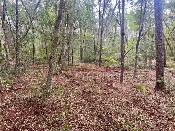 (undisclosed Address), Satsuma, FL 32189