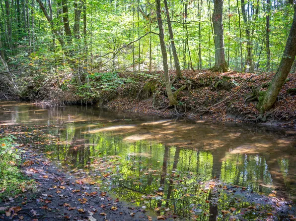 V/l 246a E White River Dr, Hesperia, MI 49421