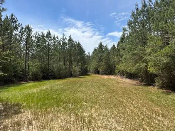 299B Buddy Finch Rd, Lucedale, MS 39452