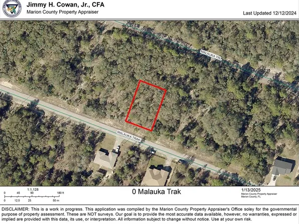0 Malauka Trak #9, Ocklawaha, FL 32179