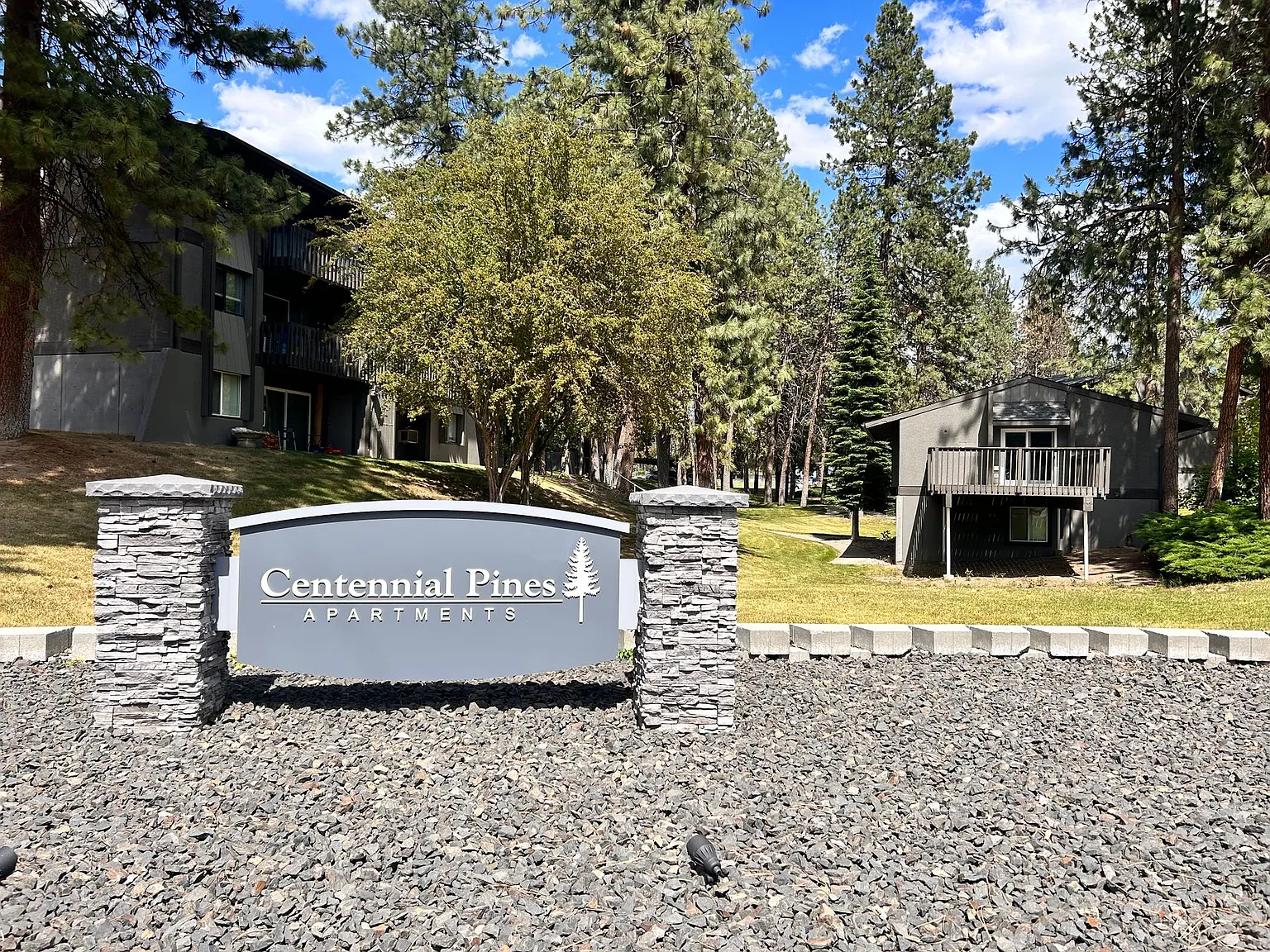Centennial Pines Apartments! — Photo 2