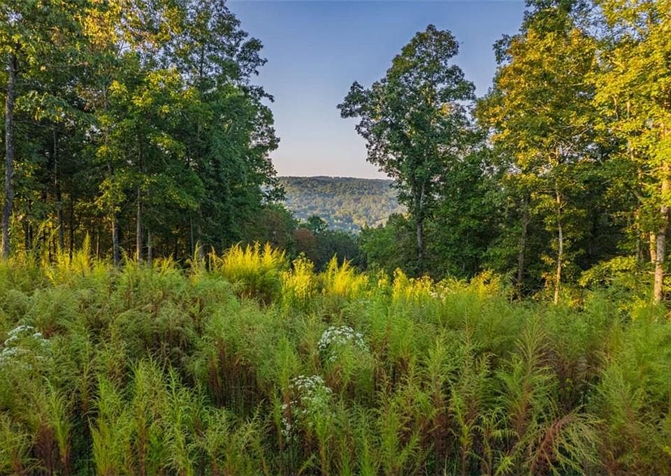 1st image of LOT 290 Anglers Ridge Rd