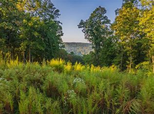 LOT 290 Anglers Ridge Rd, Talking Rock, GA 30175