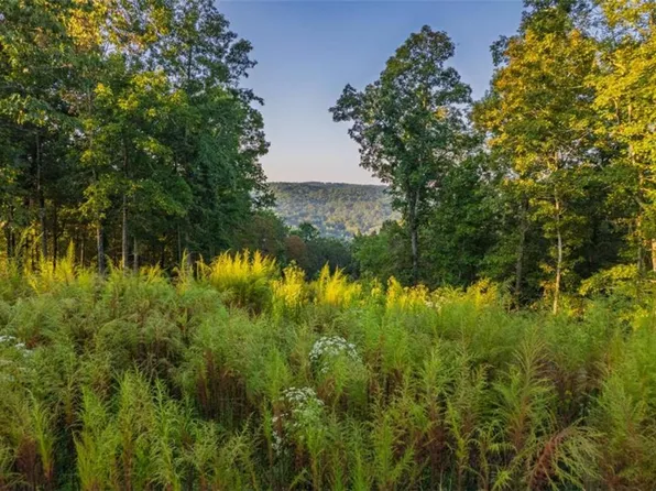 LOT 290 Anglers Ridge Rd, Talking Rock, GA 30175