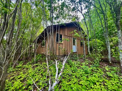 111 Wakeman Bay Rd, Grand Rapids, MN, 55744