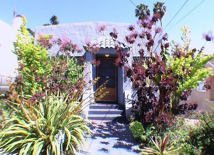 Lush Front Yard