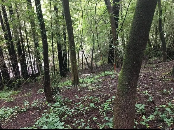 14788 Canyon 4 Road, Guerneville, CA 95446