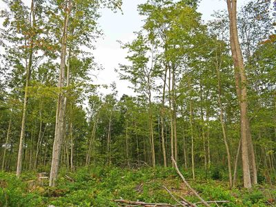 J Parcel Rd, Greenbush, MI, 48738