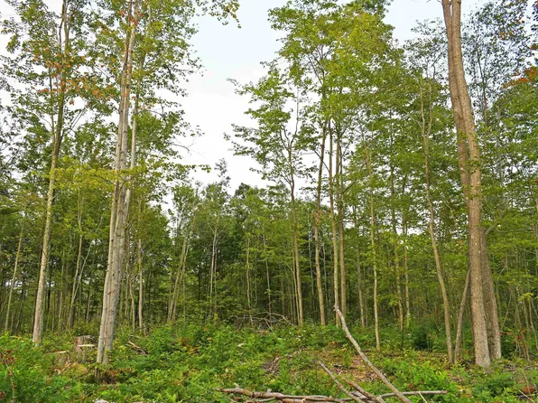 J Parcel Rd, Greenbush, MI 48738