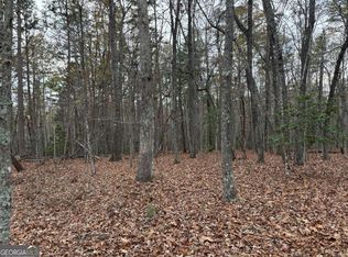 35AC Liberty Hill Rd, Morganton, GA 30560
