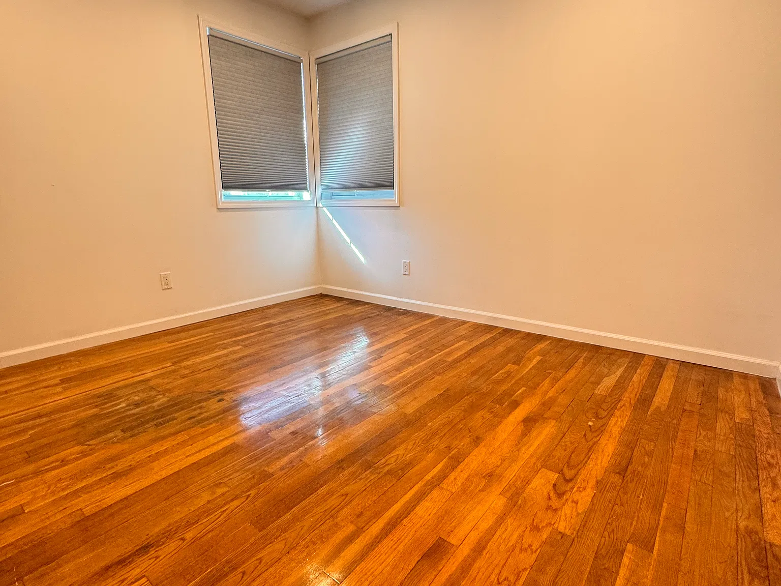 50 Rome Ave — Photo 3