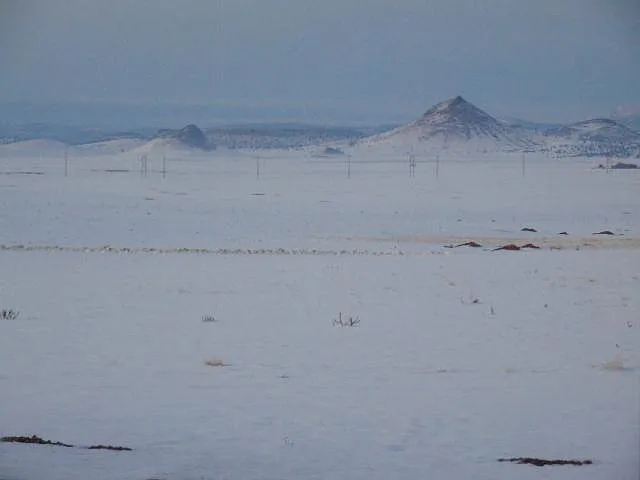 View from the backyard last year