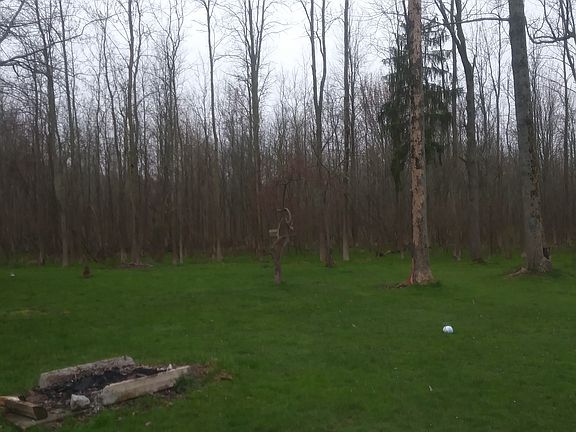 5th image of 53 South Ln