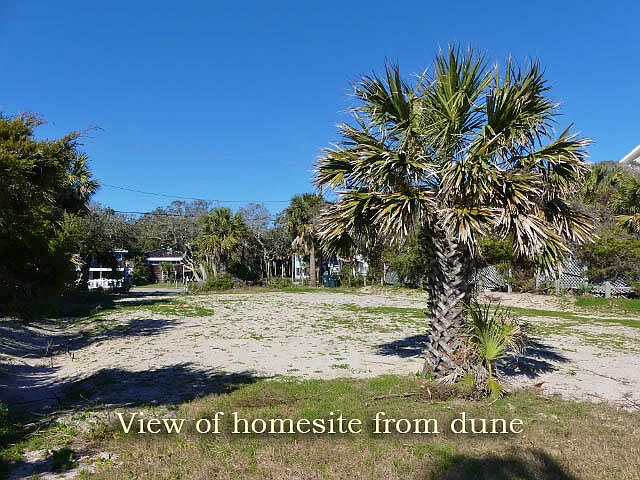 1st image of 1102 Palmetto Blvd