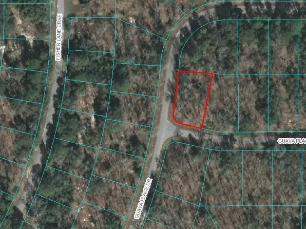 LOT 7 Guava Place Pass, Ocklawaha, FL 32179