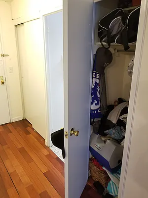 Rented by Manhattan Apartment Organization | media 29