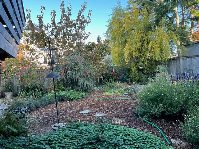 View from the kitchen towards the backyard