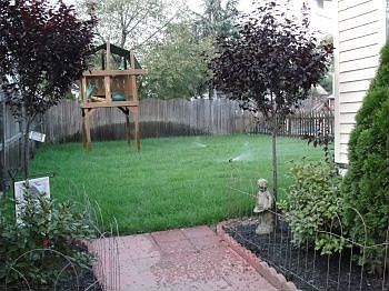 Fresh sod finishes off this beautiful large backyard