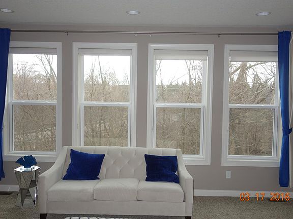 Panoramic view of woods from living room