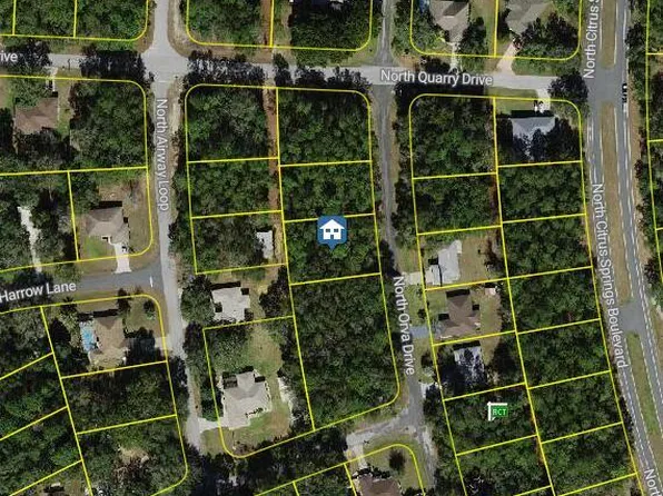 10768 N Orva Dr, Citrus Springs, FL 34434
