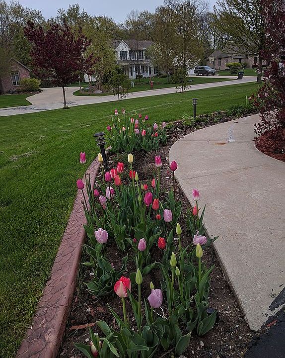 2nd image of 6015 S Preston Ln