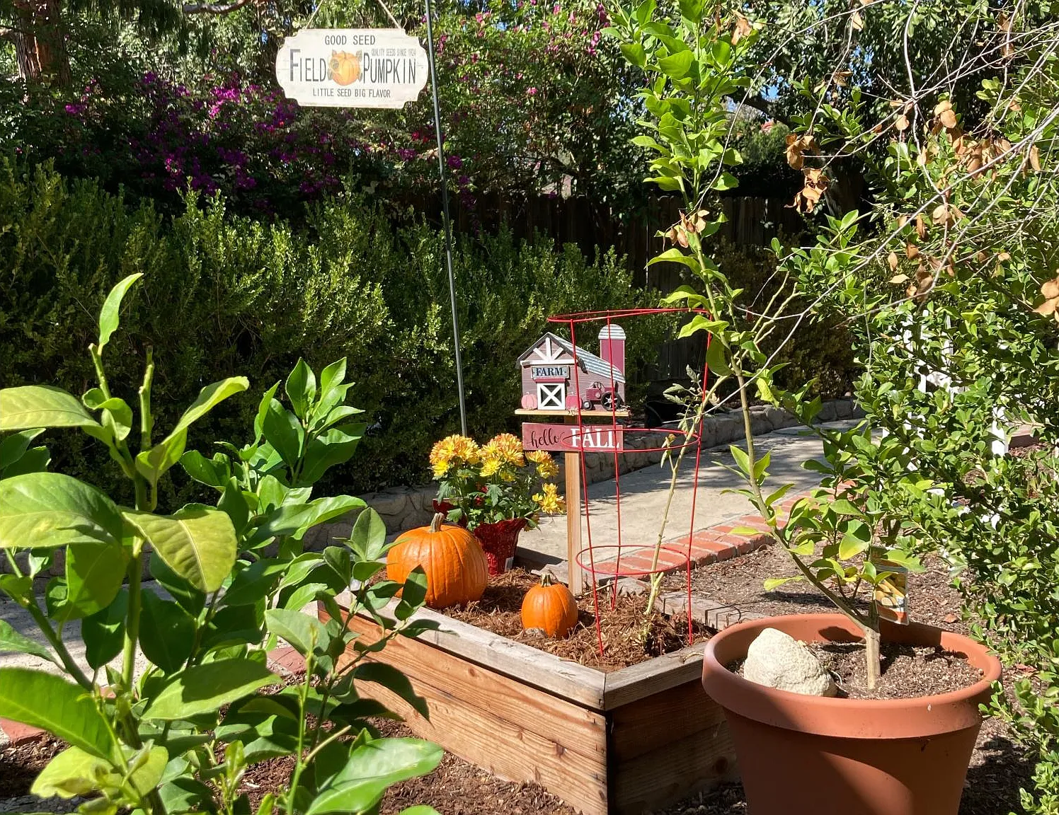 Orange Ave, La Crescenta — Photo 2