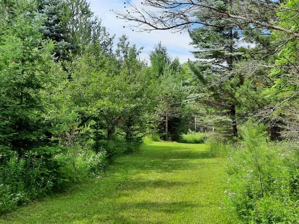 9409 Beaver Lake Rd, Hubbard Lake, MI 49747