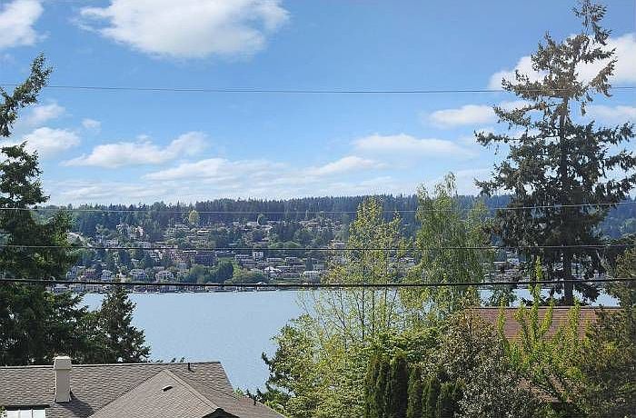 Lake Washington View