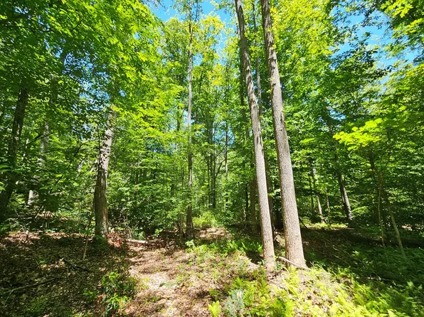 Manteo Rd, Buckingham, VA 23921