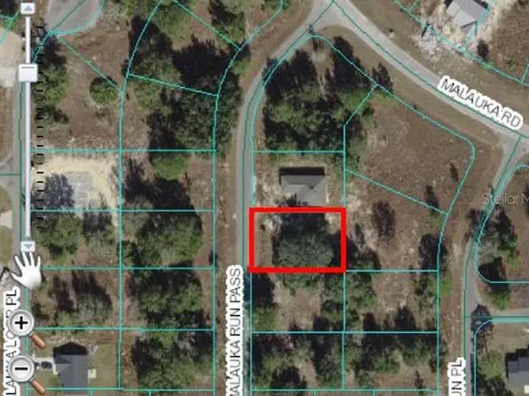 Malauka Run Pass Lot 10, Ocklawaha, FL 32179