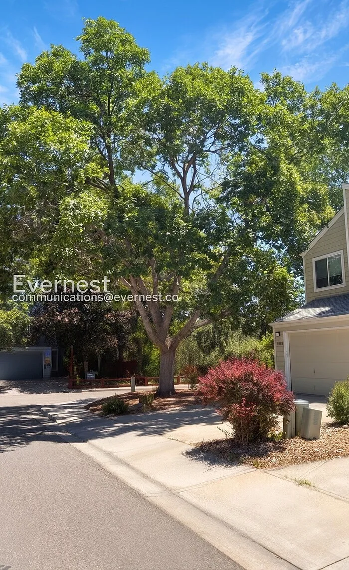 3 bed, 1.5 bath, 1567 sqft, $2,649 — Photo 2