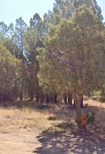 39 Shale Loop, Timberon, NM, 88350