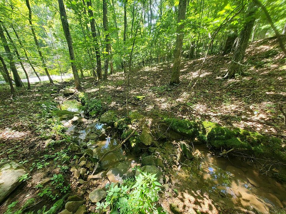 31st image of 159-161 Sugarbush Cir