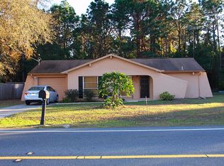 11242 Elgin Blvd, Spring Hill, FL 34608