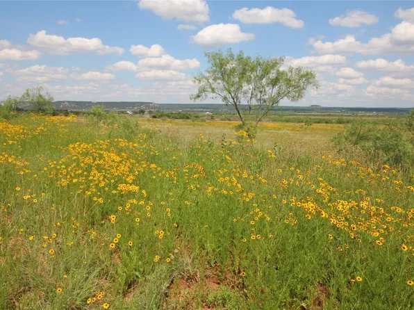 10 Marshal Trl, Tuscola, TX 79562