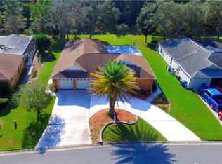 4470 Plumosa St, Spring Hill, FL 34607