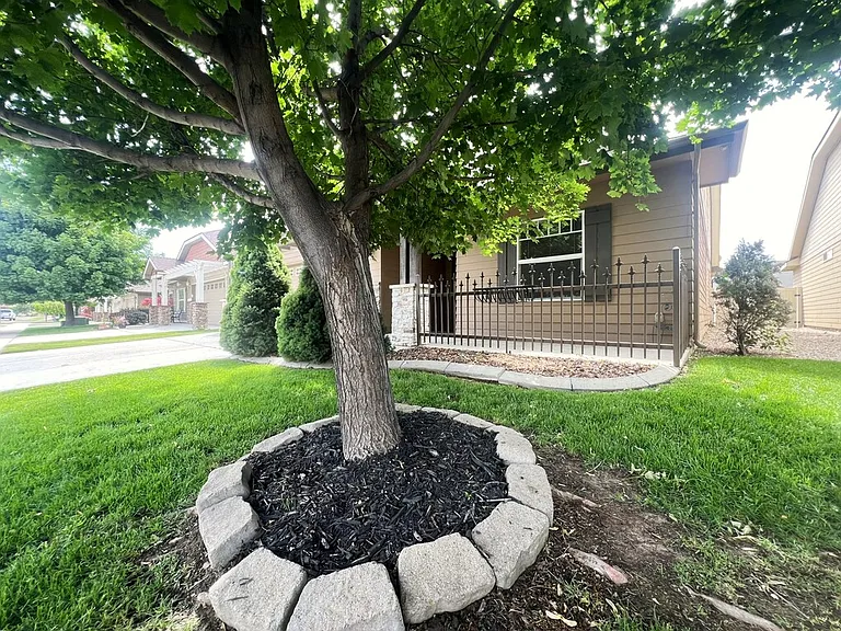 717 W Claire St — Photo 3