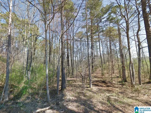 0 Granny Hyche Rd, Cordova, AL 35550