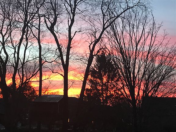 Sunset in the backyard