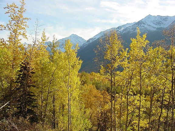 Fall View (South)