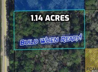 1725 Bayberry St, Bunnell, FL 32110