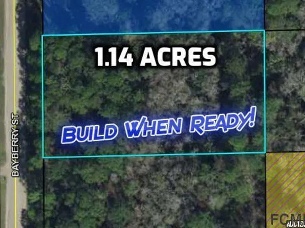 1725 Bayberry St, Bunnell, FL 32110