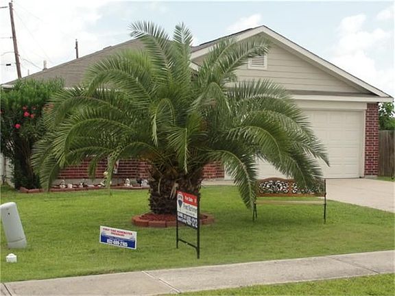 Beautiful front elevation with palm tree