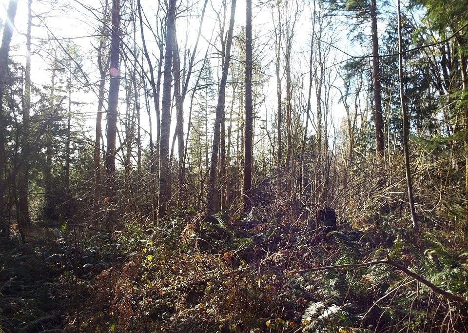 2nd image of 27710 127th Ave E
