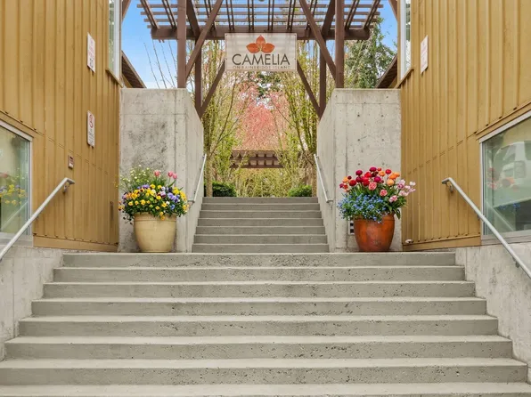 Camelia, 325 Tormey Ln NE #C148, Bainbridge Island, WA 98110