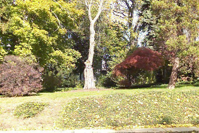 1st image of 32-34 Clearman Pl